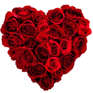 heart-roses1