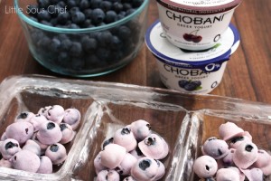 LSC-Frozen-Greek-Yogurt-Blueberries-IMG_6530