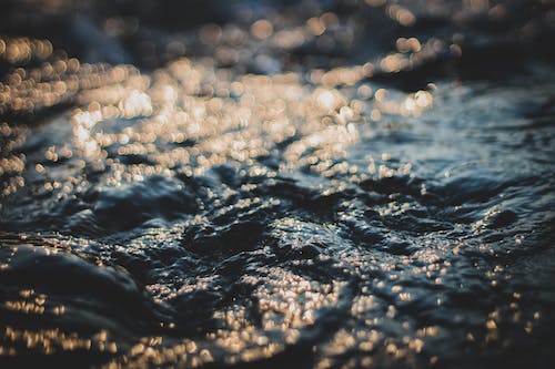 Free Selective Focus Photography of Body of Water Stock Photo